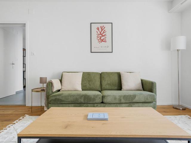 Stylish 1 Bedroom Furnished Apartment in Basel Iselin, Basel Amsterdam Apartments for Rent