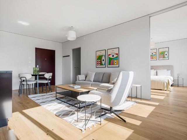 Stylish 1 Bedroom Furnished Apartment in Basel Vorstaedte, Basel Amsterdam Apartments for Rent
