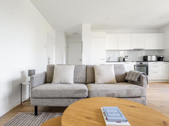 Stylish 1 Bedroom Furnished Apartment in Basel Vorstaedte, Basel Amsterdam Apartments for Rent