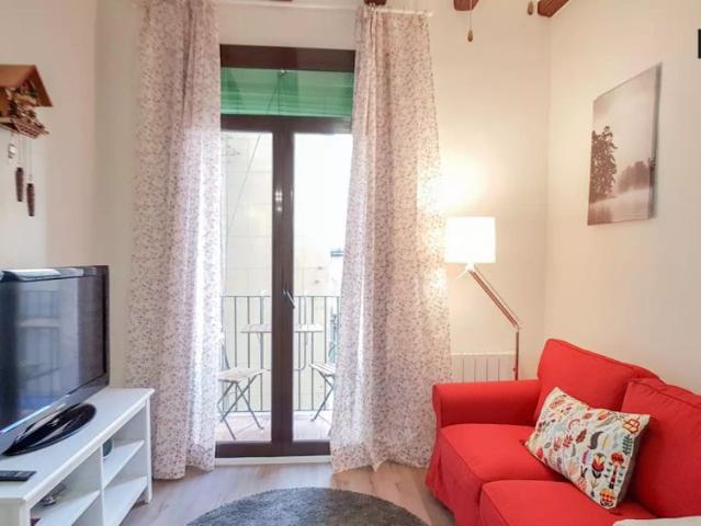 Stylish 2 bedroom apartment for rent near La Boqueria Market in El Raval