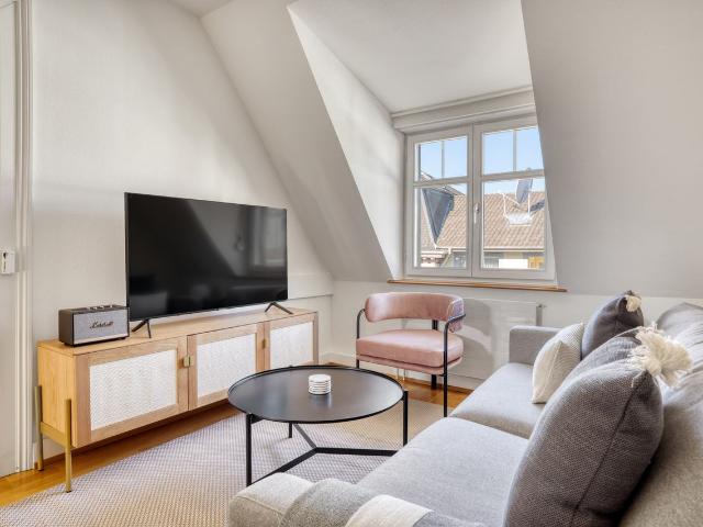 Stylish 2 Bedroom Furnished Apartment in Breite, Basel, Basel Amsterdam Apartments for Rent