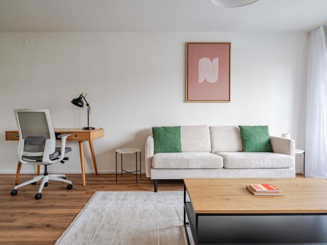 Stylish 2 Bedroom Furnished Apartment in Dietikon, Dietikon Amsterdam Apartments for Rent