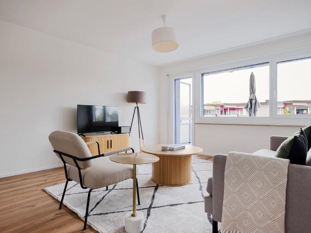 Stylish 2 Bedroom Furnished Apartment in Dietikon, Dietikon Amsterdam Apartments for Rent