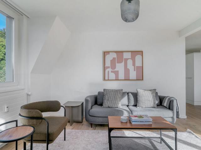 Stylish 2 Bedroom Furnished Apartment in Wipkingen, Zurich Amsterdam Apartments for Rent