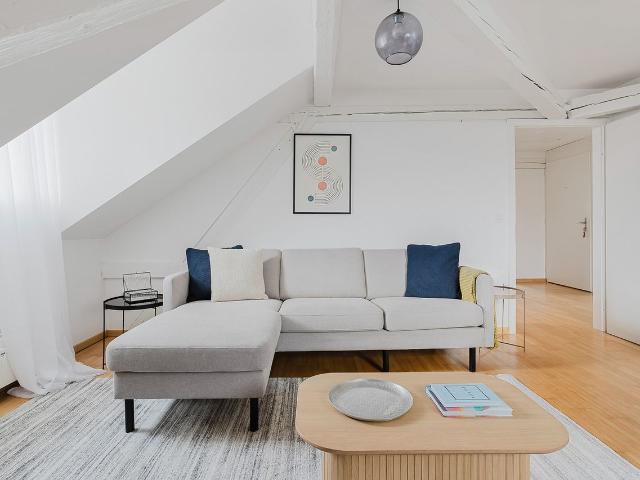 Stylish 3 Bedroom Furnished Apartment in Oberstrass, Zurich Amsterdam Apartments for Rent
