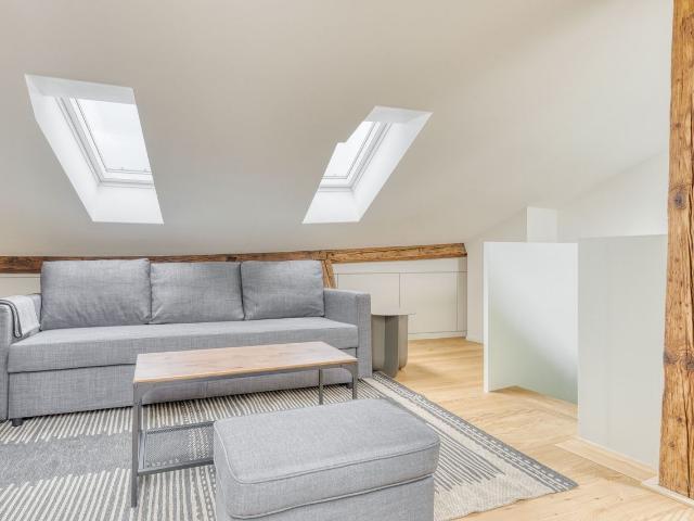 Stylish 3 Bedroom Furnished Apartment in Basel Vorstaedte, Basel Amsterdam Apartments for Rent