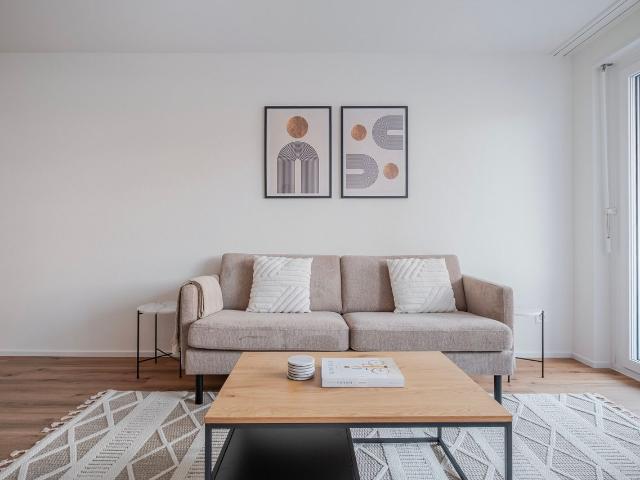 Stylish 3 Bedroom Furnished Apartment in Dietikon, Dietikon Amsterdam Apartments for Rent
