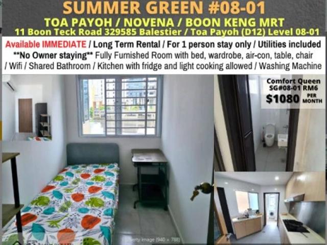 Summer Green