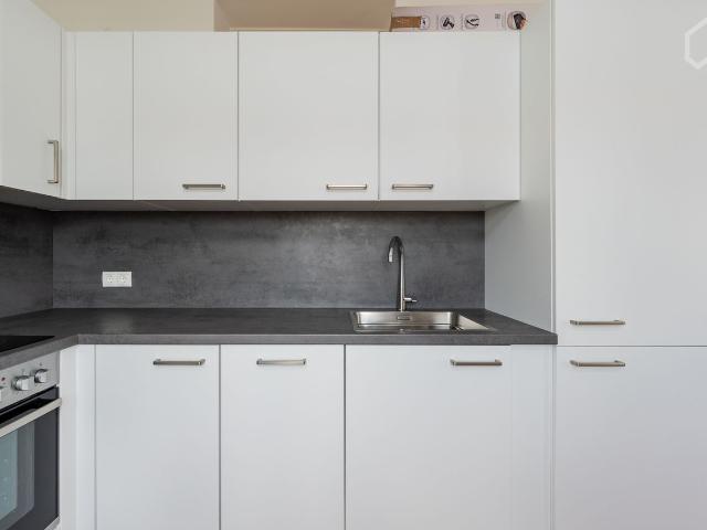 Sun drenched 1 room apartment above the city's rooftops, Berlin Amsterdam Apartments for Rent