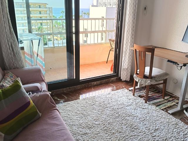 Sun Filled Apartment by the Beach