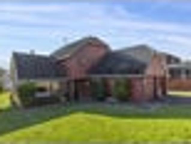 Sun Soaked Spacious Family Haven