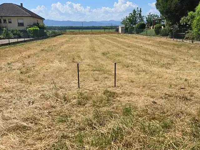 Sundhoffen 68280 Programme neuf terrain neuf à vendre