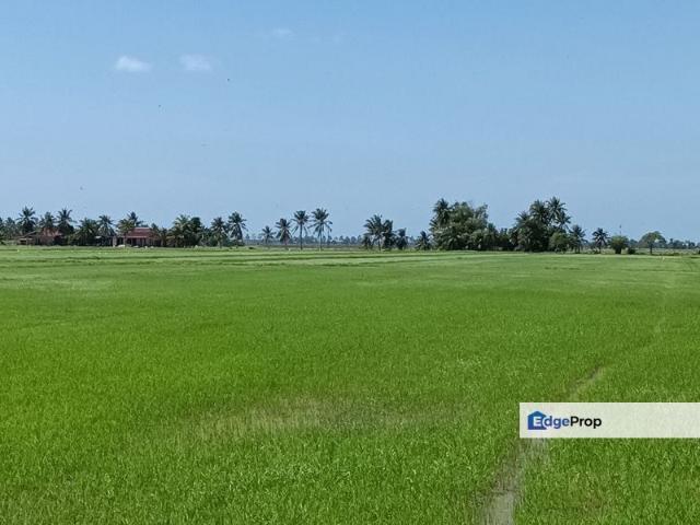 SUNGAI DAUN, YAN KEDAH TANAH BENDANG