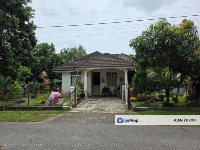 SUNGAI ISAP DAMAI