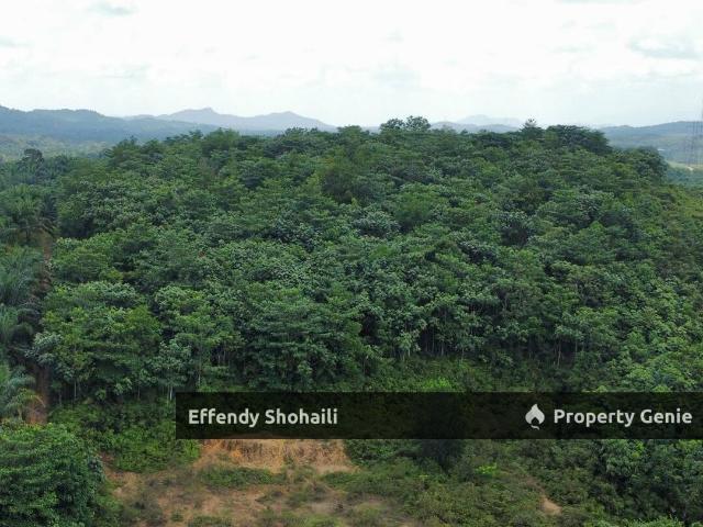 SUNGAI SERIGALA HULU BERNAM BANGLO LOT