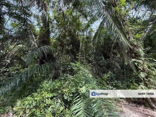 Sungai Siput
