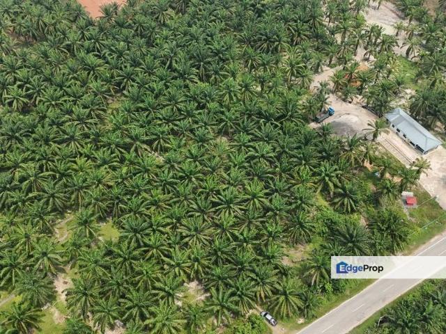 Sungai Siput
