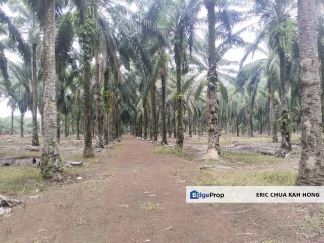 Sungai Siput