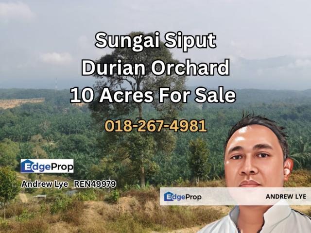 Sungai Siput