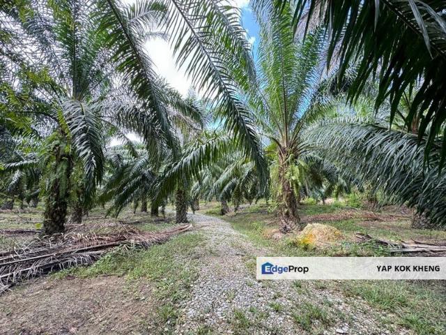Sungai Siput