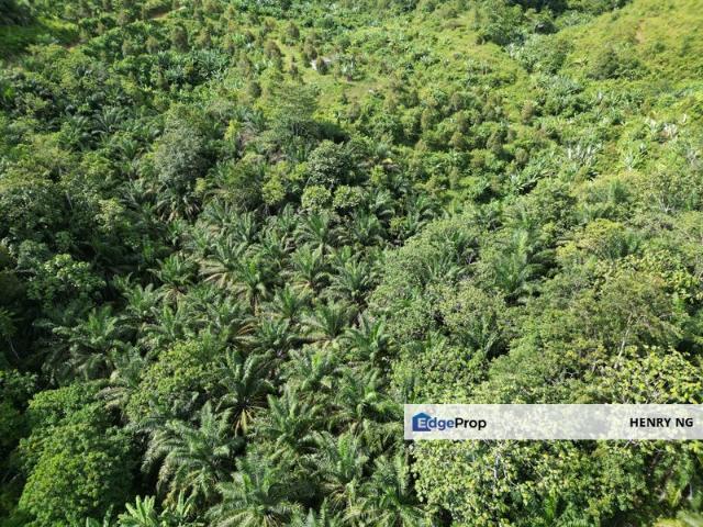 Sungai Siput