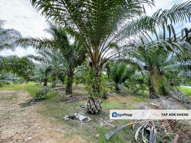 Sungai Siput