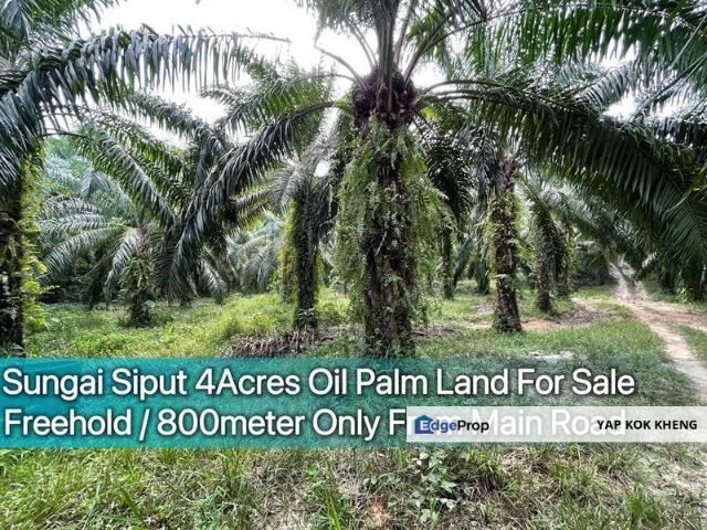 Sungai Siput