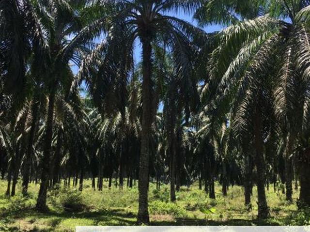 Sungai Siput