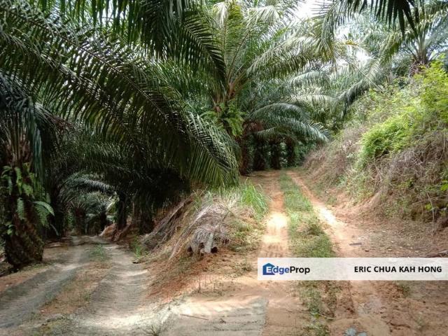 Sungai Siput