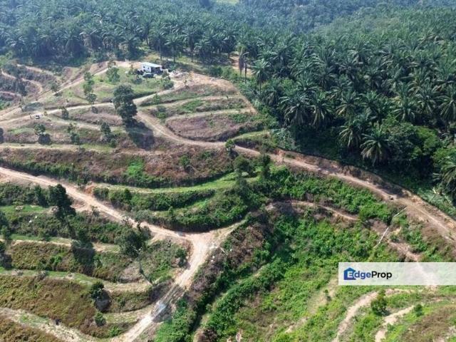 Sungai Siput