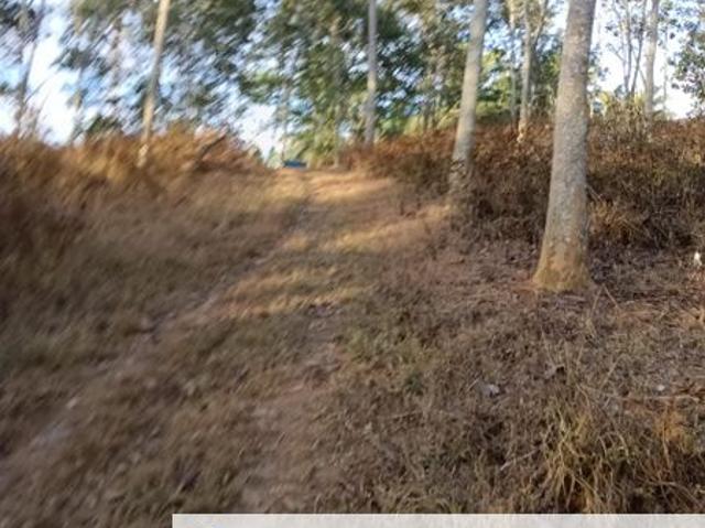 Sungai Siput