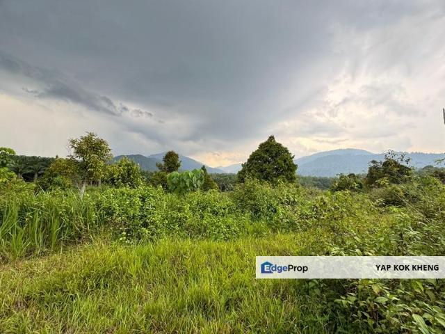 Sungai Siput