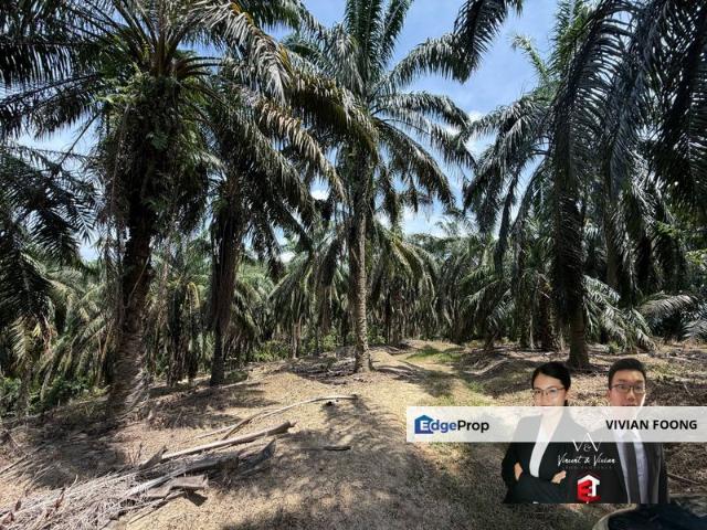 Sungai Siput