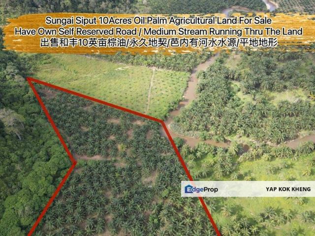 Sungai Siput
