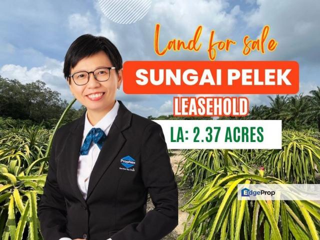 Sungai Pelek
