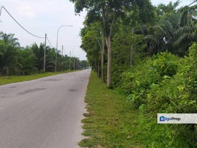 Sungai Pelek