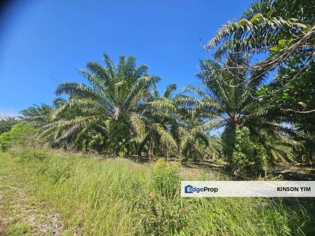 Sungai Tiram