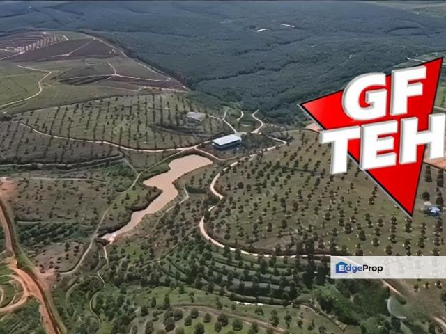 Sungkai Land