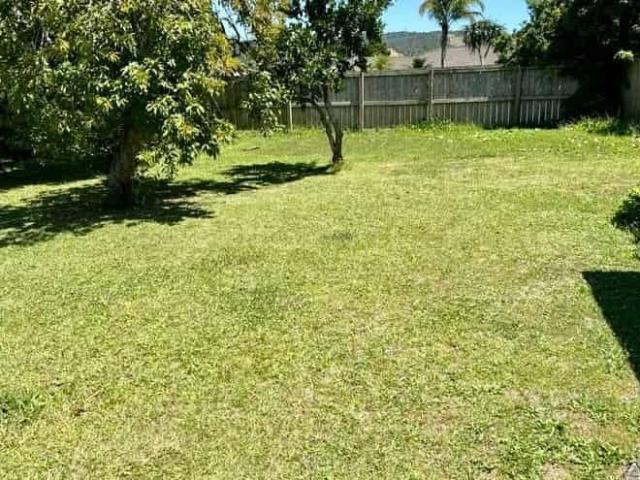 Sunny & Tidy 3 bedrooms