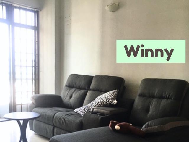 Sunny Ville Fully Furnish Aircon Batu Uban Gelugor USM Bridge FTZ