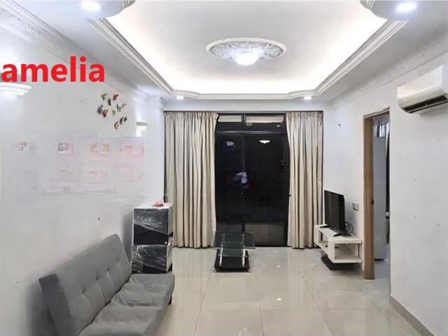 Sunny Ville Renovated Seaview 1050sf 3 rooms Furnished Gelugor