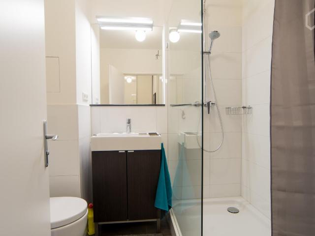 Sunny and beautiful home close to Savignyplatz, Berlin Amsterdam Apartments for Rent