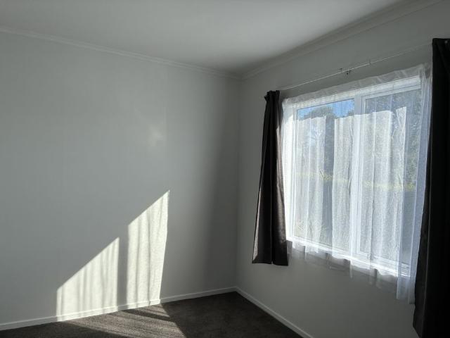 Sunny and Light