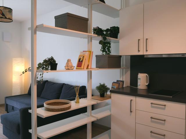 Sunny & Cozy Apartment in Sprengelkiez, Wedding, Berlin Mitte near Ringbahn/S Bahn Wedding