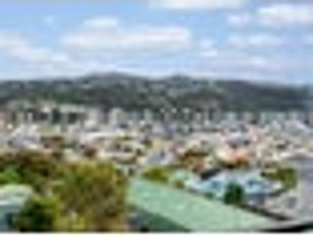 SUNNY NEWTOWN STARTER
