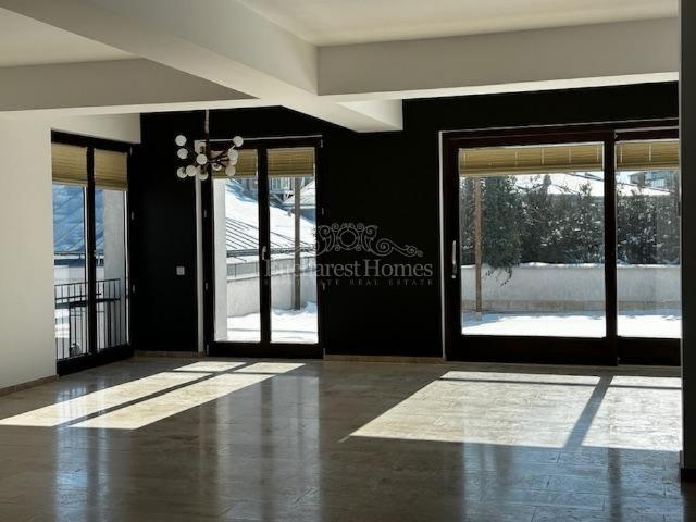 Sunny Penthouse in the Heart of Icoanei