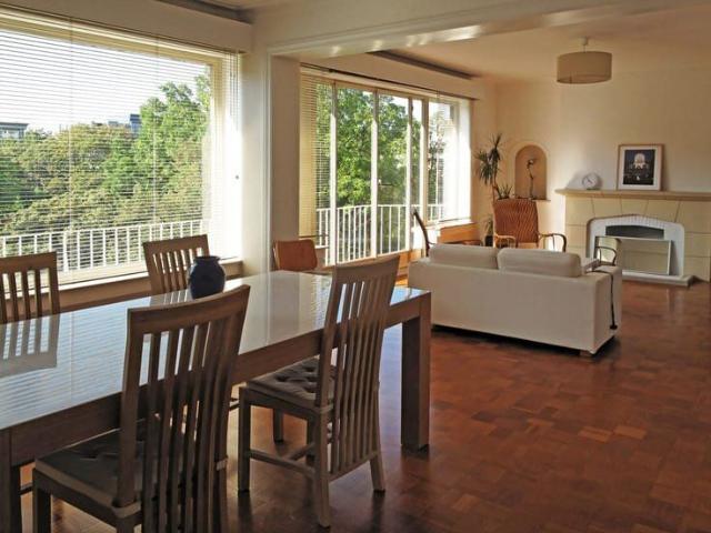 Sunny penthouse with great view on trees