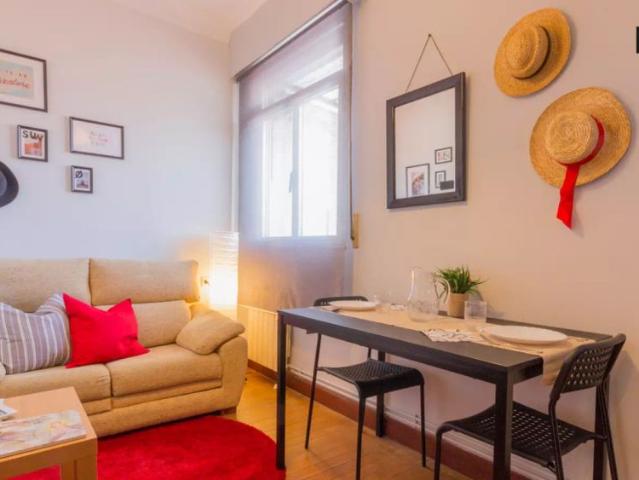 Sunny room with shelving in 3 bedroom apartment, Rekalde