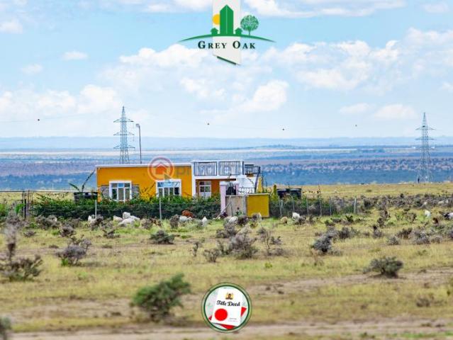 Sunset Gardens In Nanyuki Near Ol Pajeta Conservancy
