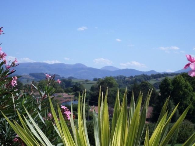Sublime vue montagne
